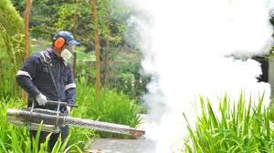 Professional Pest control in Woodland, WA